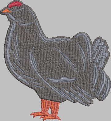 Chicken Embroidery Design
