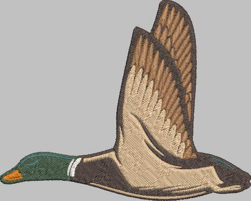 Mallard Duck Embroidery Design