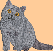British Shorthair Cat Embroidery Design