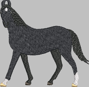 Marwari Horse Embroidery Design