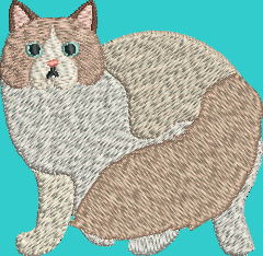 Ragdoll Cat Embroidery Design