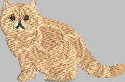 Exotic Shorthair Cat Embroidery Design