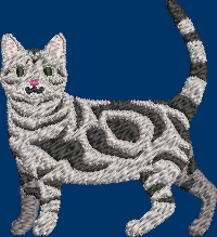 American Shorthair Cat Embroidery Design