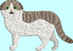 Scottish Fold Cat Embroidery Design