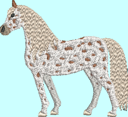 Appaloosa Horse Embroidery Design