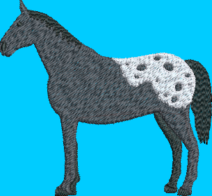 Appaloosa Horse Embroidery Design