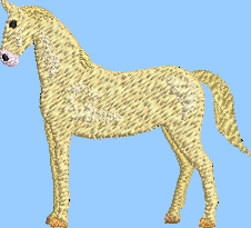 Akhal-Teke Horse Embroidery Design