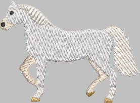 Arabian Horse Embroidery Design