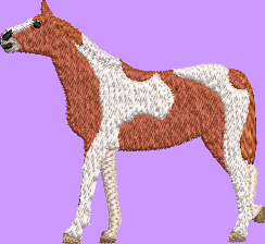 Paint Horse Embroidery Design