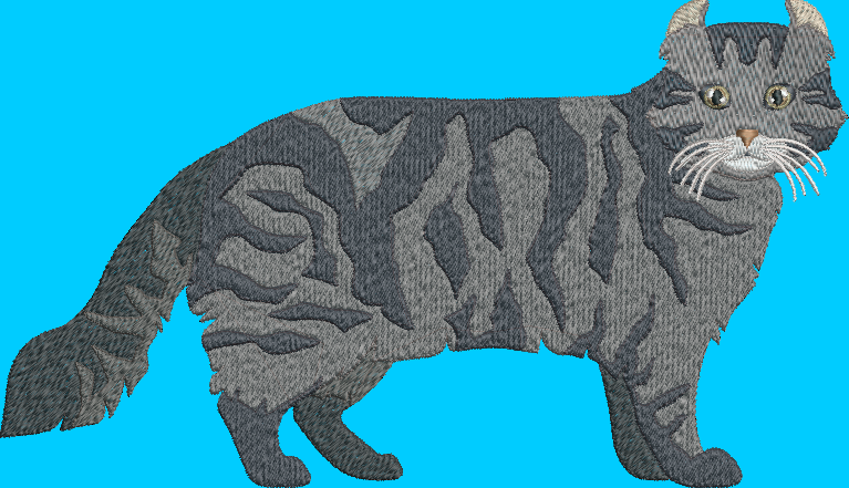 American Curl Cat Embroidery Design
