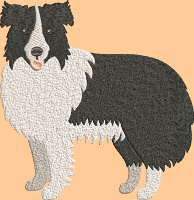 Border Collie Embroidery Design