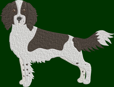 Springer Spaniel  Embroidery Design