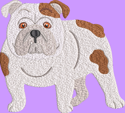 Bulldog Embroidery Design