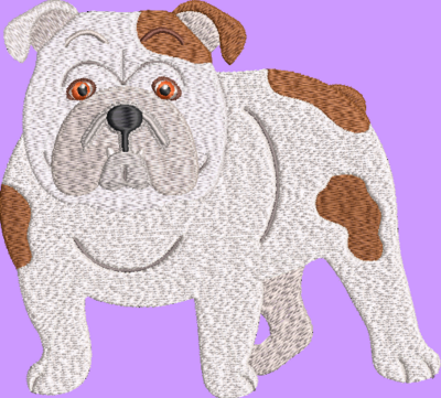 Bulldog Embroidery Design