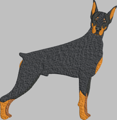 Doberman Pincher Embroidery Design