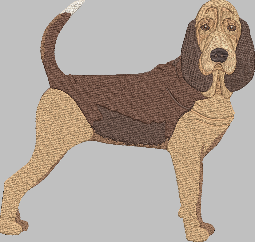 Bloodhound Embroidery Design