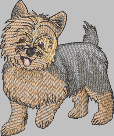 Yorkshire Terrier Puppy Embroidery Design