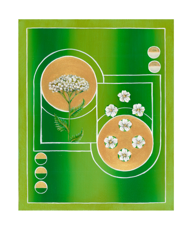 Yarrow Print