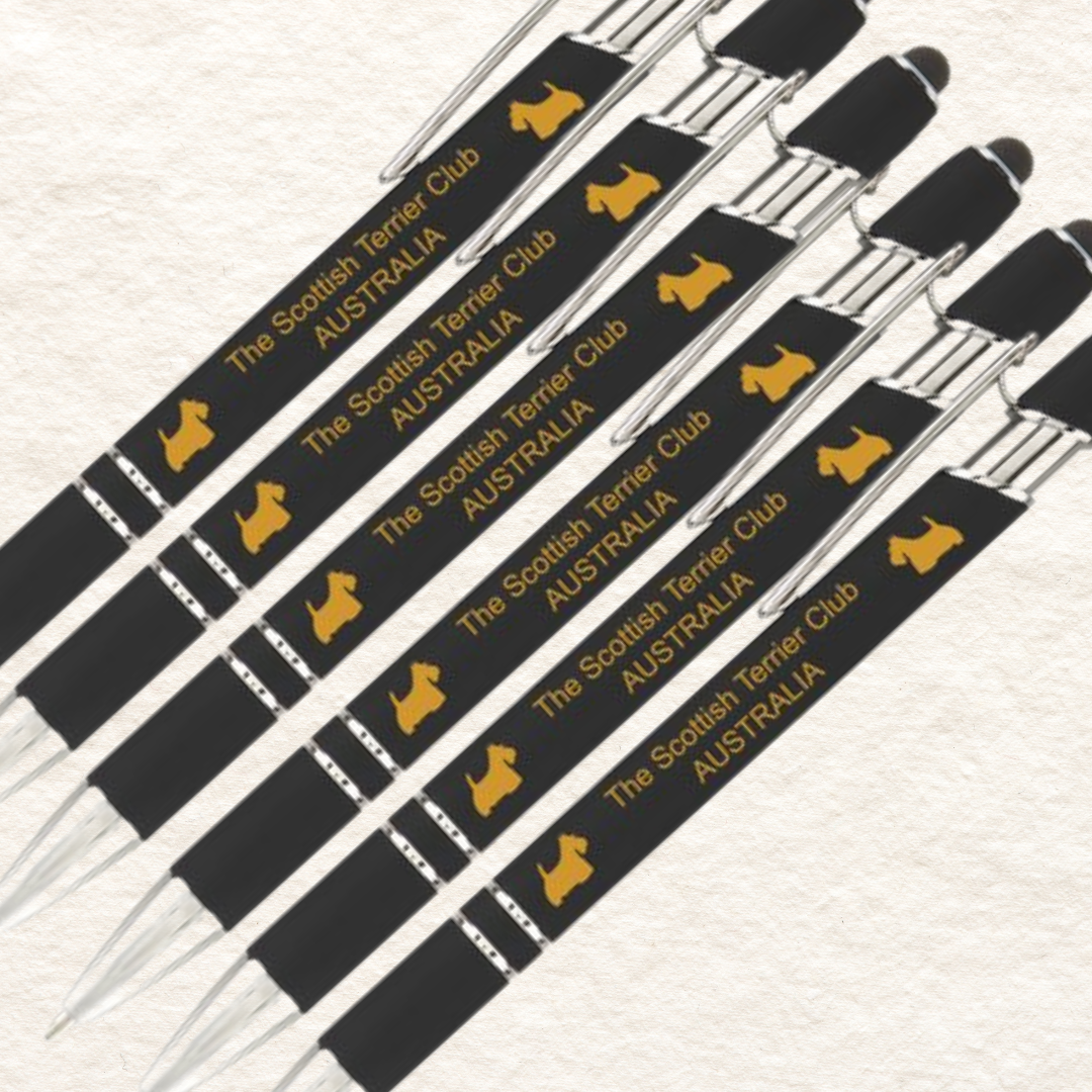 Pen (pack of 6 pens)