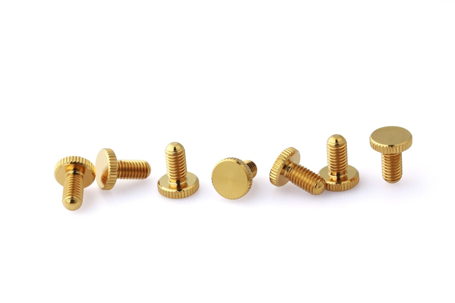 FR-Fine Tuning Screws_Titanium_GOLD-7 FR-Fine Tuning Screws_Titanium_GOLD-7