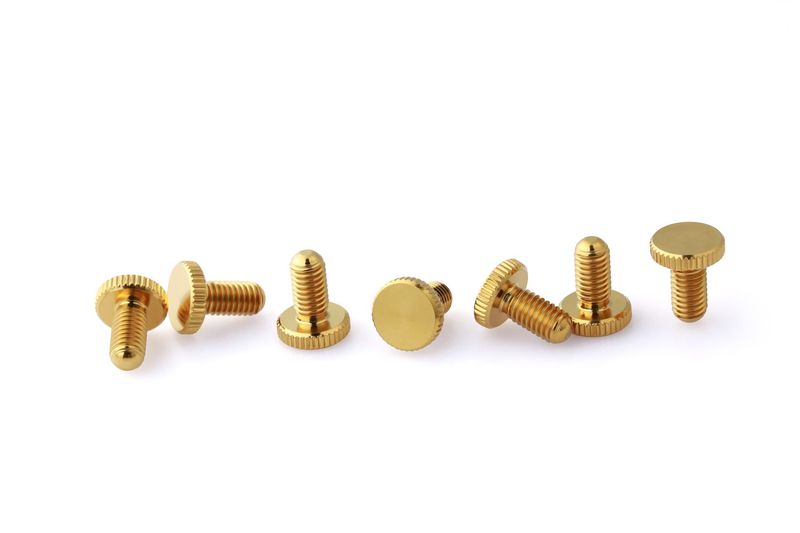 FR-Fine Tuning Screws_Titanium_GOLD-7 FR-Fine Tuning Screws_Titanium_GOLD-7