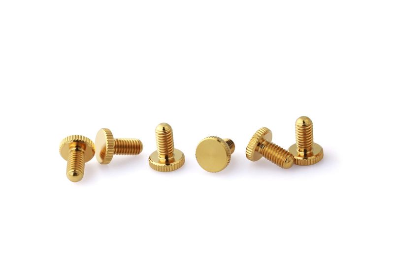 FR-Fine Tuning Screws_Titanium_GOLD-6