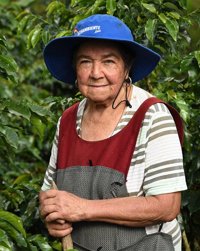 ADIELA - COLOMBIA