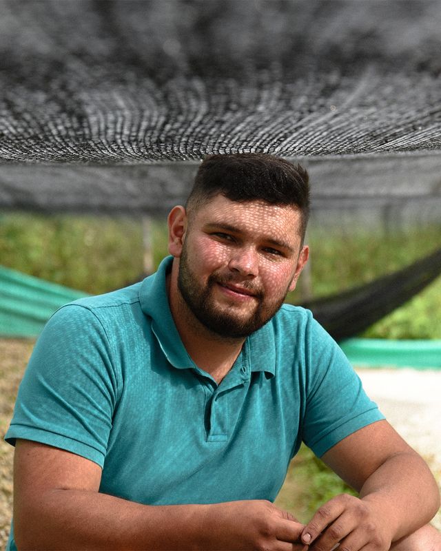MARCELINO - COLOMBIA