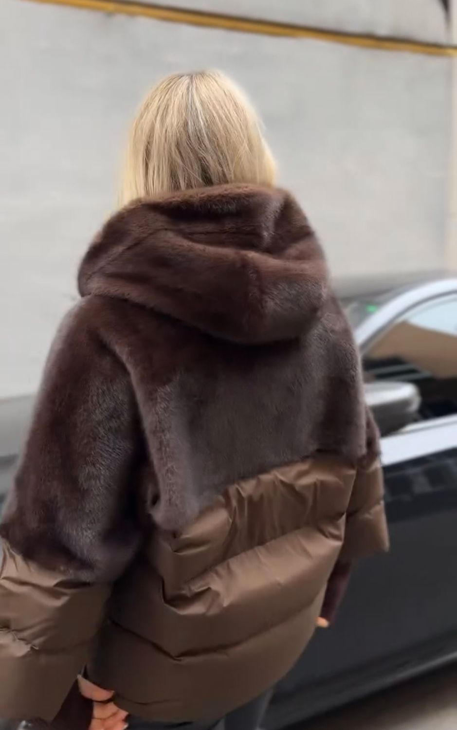 Pukinė striukė Taback