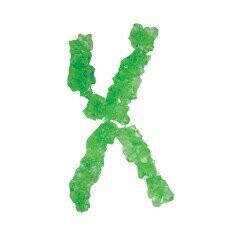 Lime Rock Candy Strings