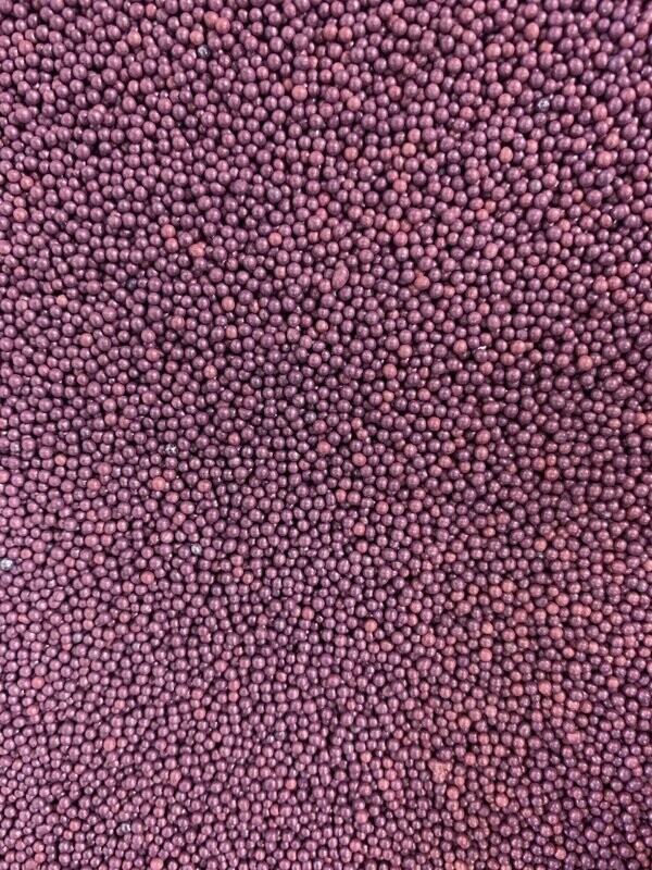 Metallic Purple Nonpareils