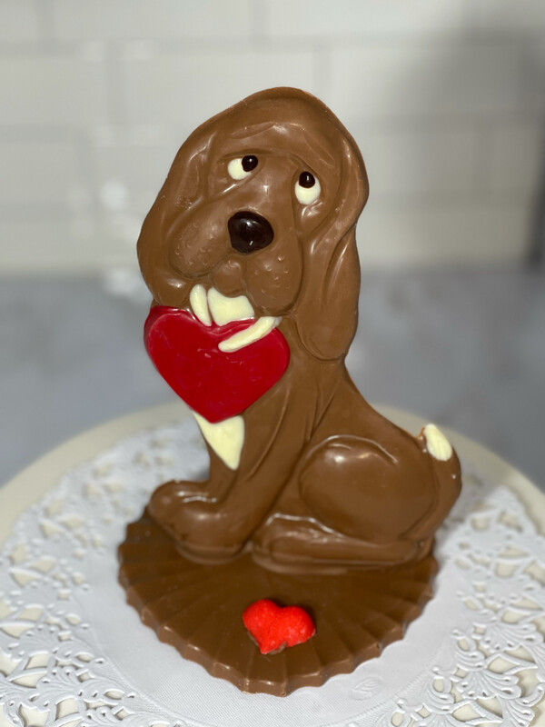 Valentine’s Dog