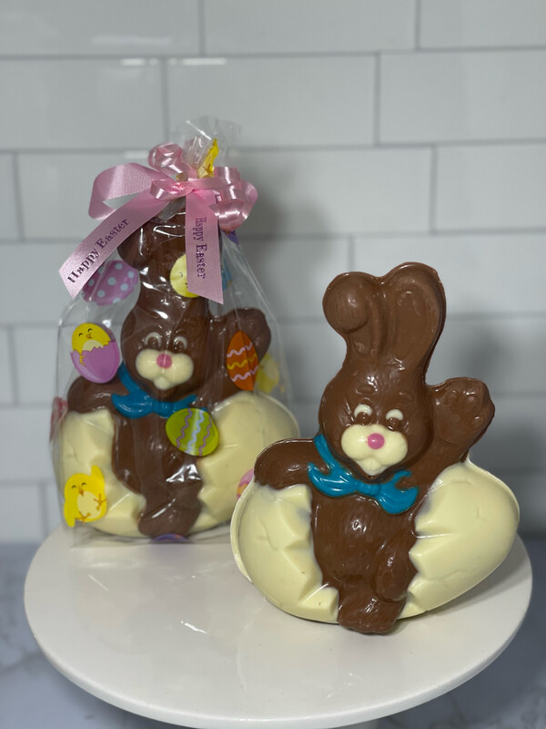 Chocolate Bunny In Cracked Egg