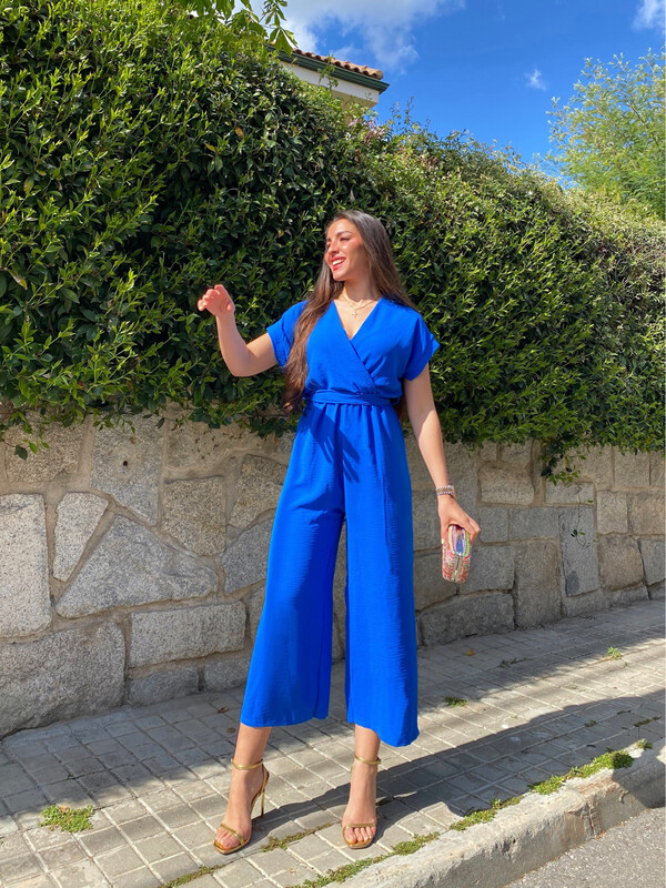 Mono Carlota azul klein