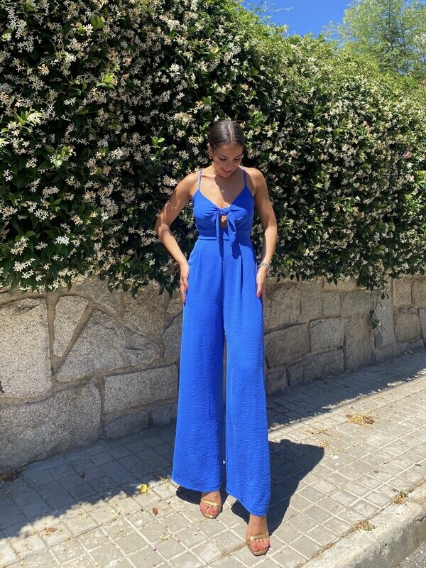 Mono Elsa azul