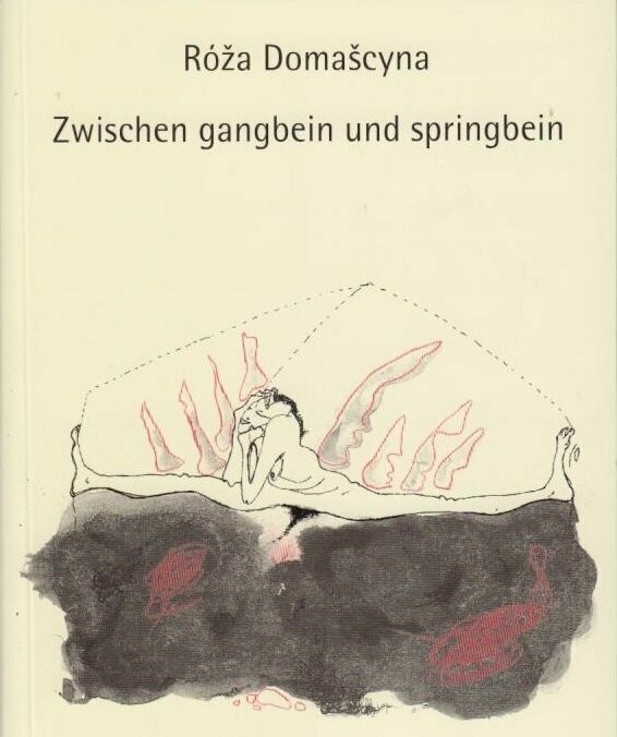 Zwischen gangbein und springbein Zwischen gangbein und springbein
