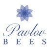 Pavlov Bees