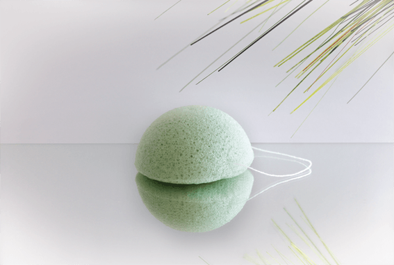 Konjac Schwamm Aloe Vera