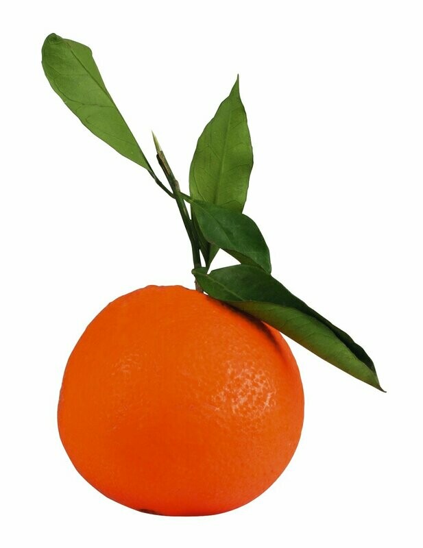 Frische sizilianische Washington Orangen!                                                                                          500g  2,50 €  ab Mitte Januar bis ca. Anfang März