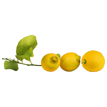 Frische sizilianische Zitronen
zur Abholung oder Versand!