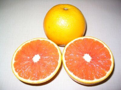 Frische sizilianische Cara cara-Navel-Orangen
