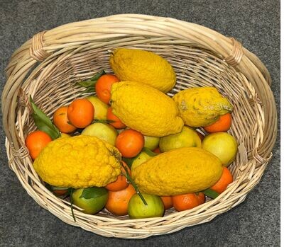 Sizilianische Zitrusfrüchte - jede Woche frische Anlieferung -