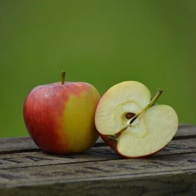 Elster - Apfel ungespritzt und unbehandelt!
zur Abholung oder Versand!