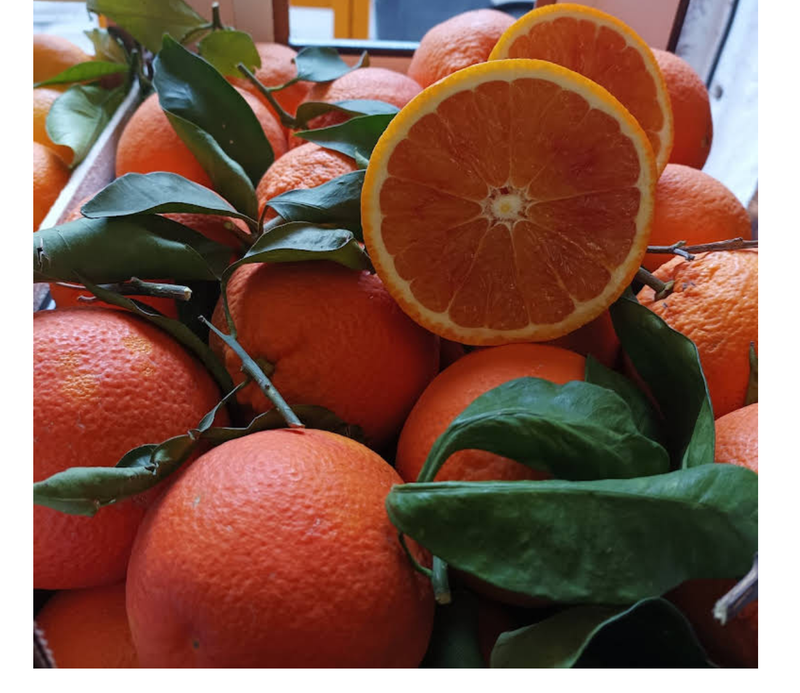 Frische sizilianische Tarocco Halb-Blutorangen Frische sizilianische Tarocco Halb-Blutorangen