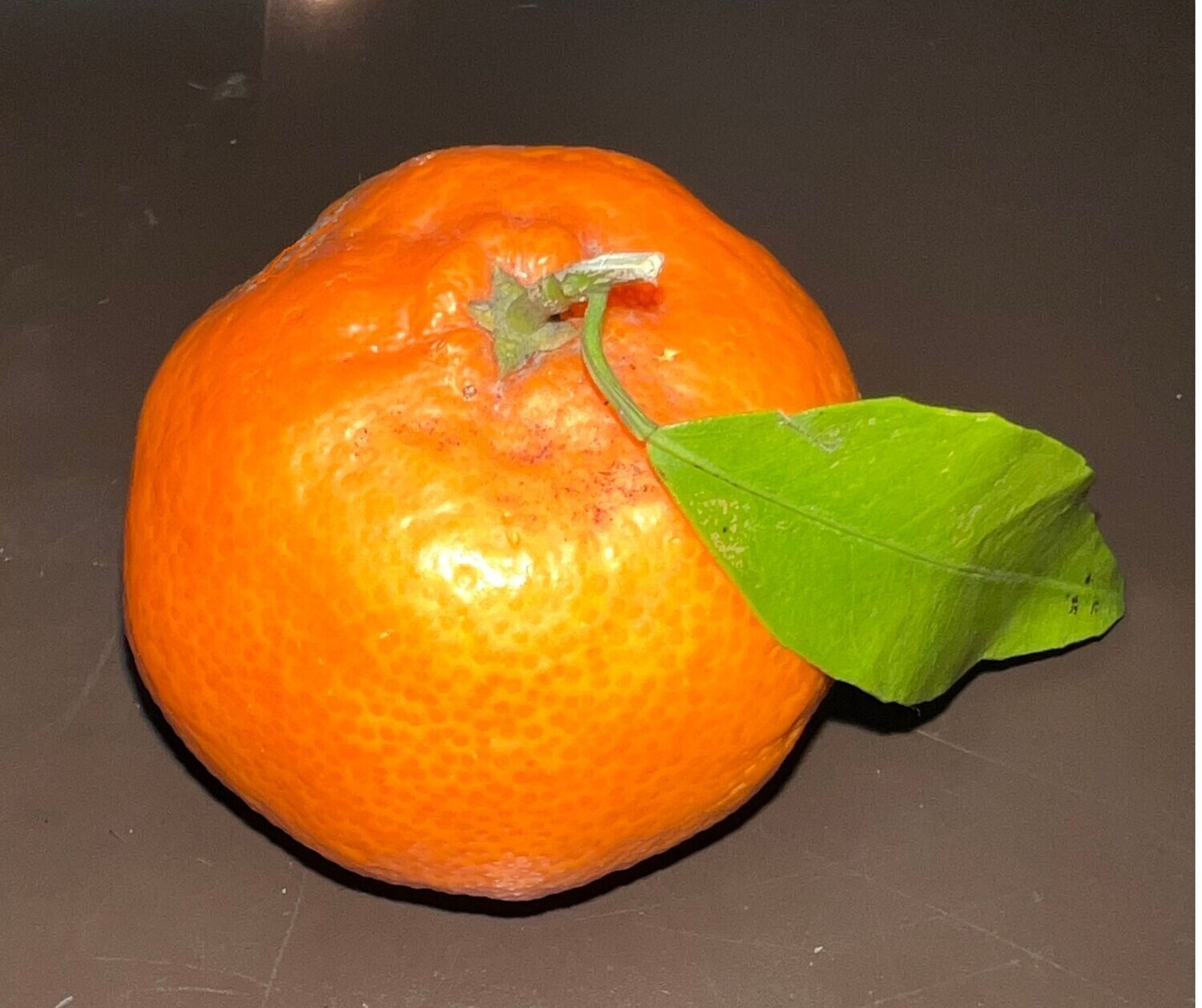 Frische sizilianische Clementinen