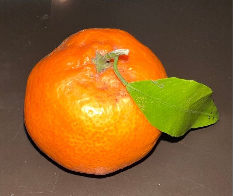 Frische sizilianische Clementinen Frische sizilianische Clementinen