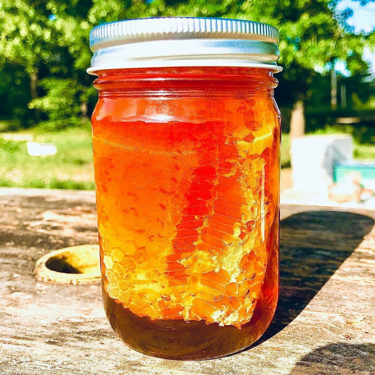 Raw Chunk Honey (1 lb Jar)