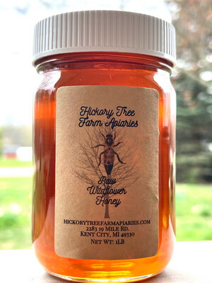 Raw Honey (1lb Jar)