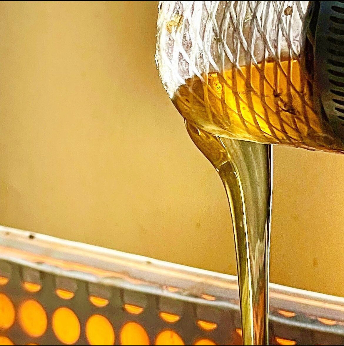 5 Gal (60lb) Bucket of Honey