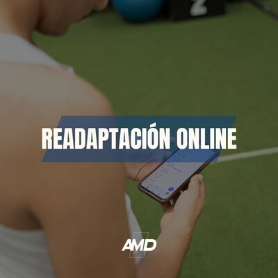 PLAN DE READAPTACION EN LINEA